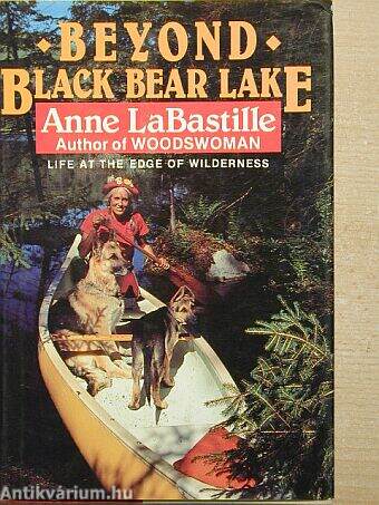 Beyond Black Bear Lake