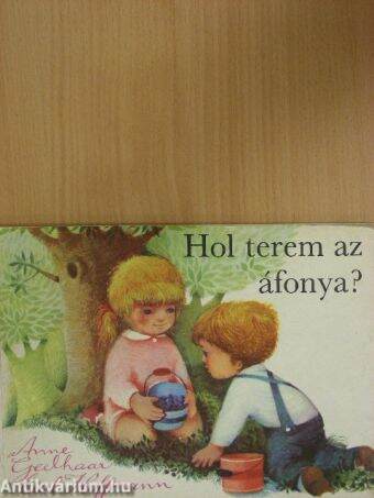 Hol terem az áfonya?