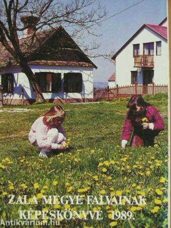 Zala megye falvainak képeskönyve 1989.