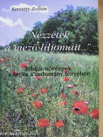 "Nézzétek a mező liliomait..."