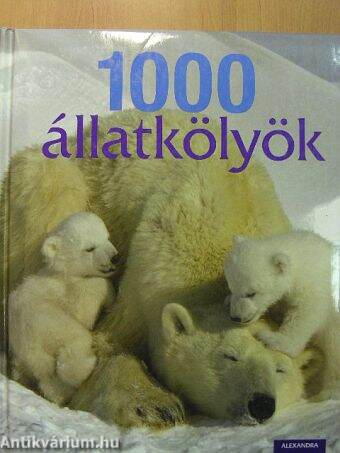 1000 állatkölyök