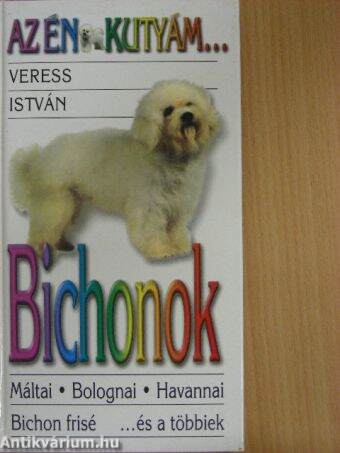 Bichonok