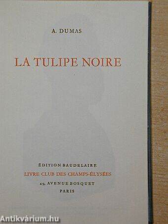 La Tulipe noire