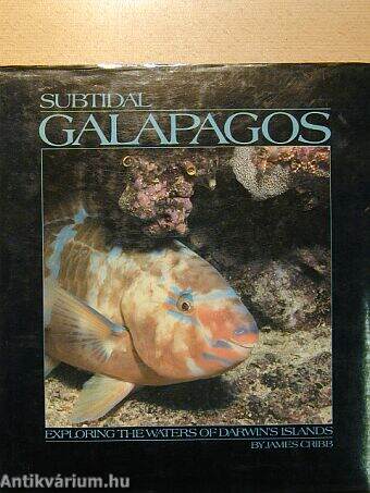 Subtidal Galapagos