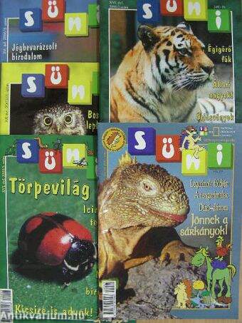 Süni 2000. (nem teljes évfolyam)