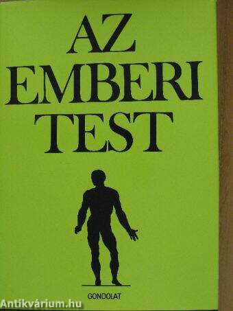 Az emberi test 2. (töredék)