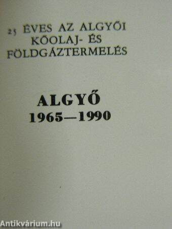 Algyő 1965-1990 (minikönyv)