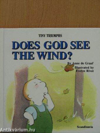 Does God See the Wind?