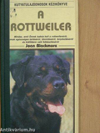 A rottweiler