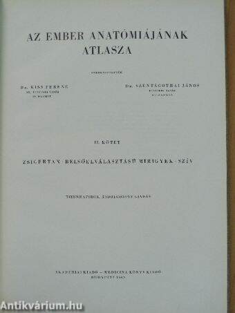 Az ember anatómiájának atlasza II. (töredék)