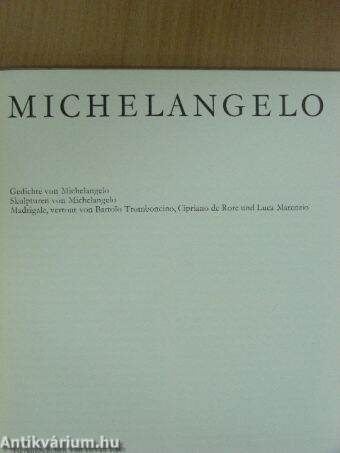 Michelangelo - Lemezzel