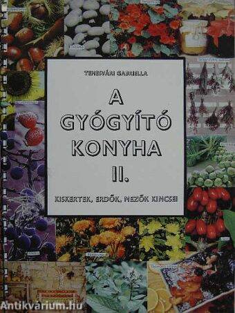 A gyógyító konyha II.