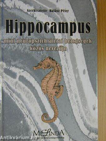 Hippocampus mint neuropszichiátriai betegségek közös nevezője