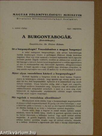 A burgonyabogár - 2. számú röplap 1947. augusztus