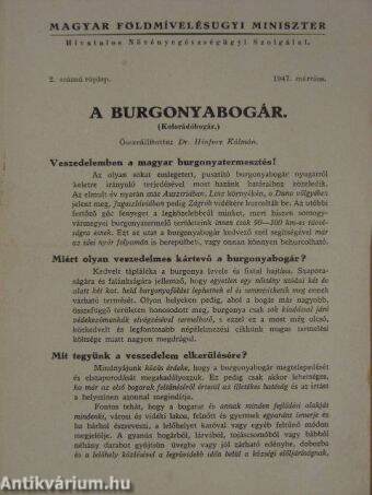 A burgonyabogár - 2. számú röplap 1947. március