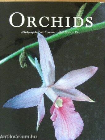 Orchids