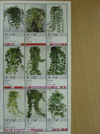 Potplanten/Pot Plants/Topfpflanzen/Plantes en pot/Piante da vaso/Planta en particular 1997/98