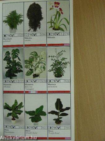 Potplanten/Pot Plants/Topfpflanzen/Plantes en pot/Piante da vaso/Planta en particular 1997/98