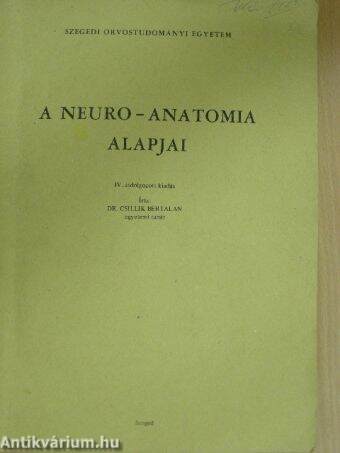 A neuro-anatomia alapjai