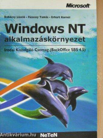 Windows NT alkalmazáskörnyezet