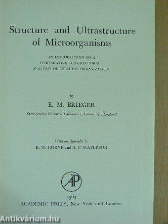 Structure and Ultrastructure of Microorganisms