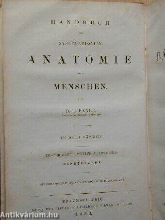 Handbuch der systematischen Anatomie des Menschen II.