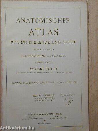 Anatomischer Atlas für studierende und Ärzte IV.