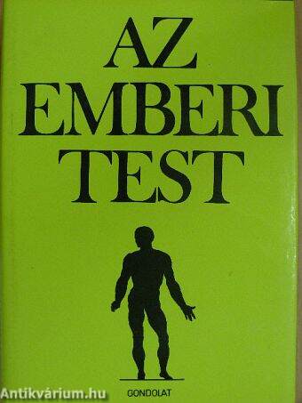 Az emberi test 2. (töredék)