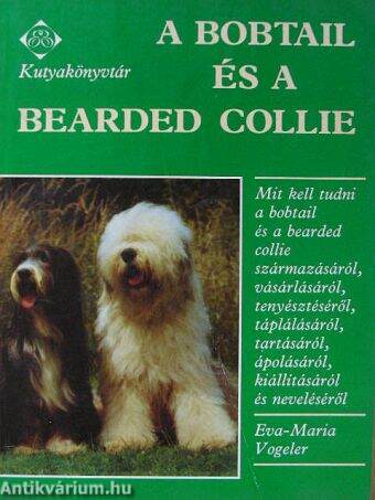 A bobtail és a bearded collie