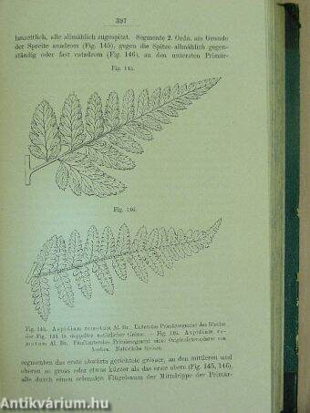 Kryptogamen-Flora von Deutschland, Oesterreich und der Schweiz III.