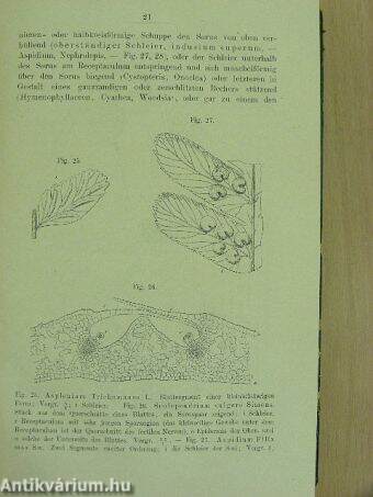 Kryptogamen-Flora von Deutschland, Oesterreich und der Schweiz III.