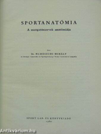 Sportanatómia