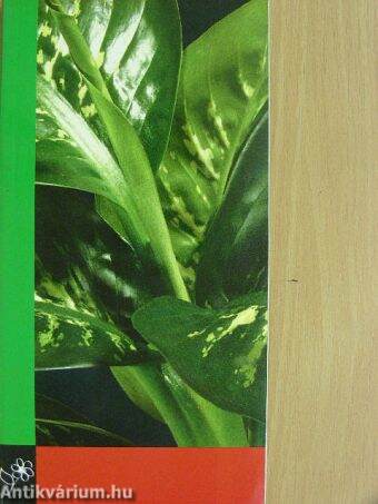 Potplanten/Pot Plants/Topfpflanzen/Plantes en pot/Piante da vaso/Planta en particular 1995/96