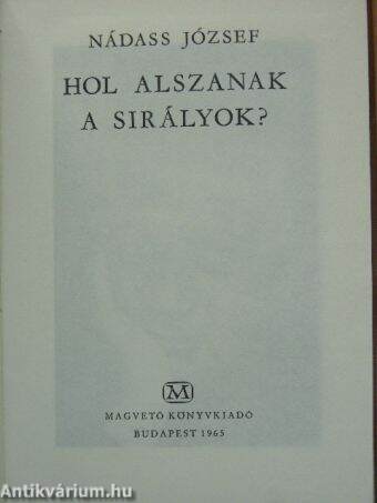 Hol alszanak a sirályok?