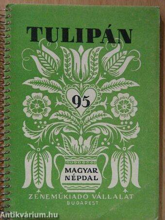 Tulipán