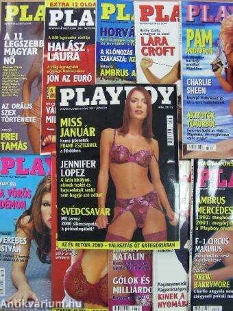 Playboy 2001. (nem teljes évfolyam)