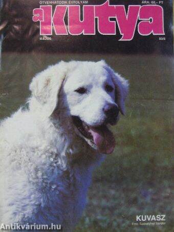 A Kutya 1993. május