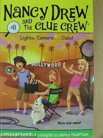 Lights, Camera... Cats!