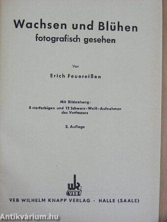 Wachsen und Blühen fotografisch gesehen