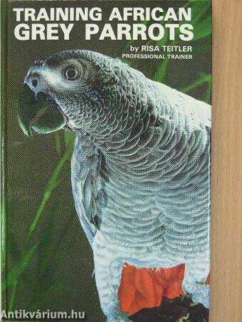 Training African Grey Parrots