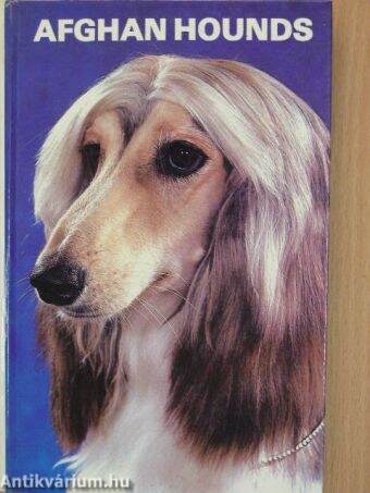 Afghan Hounds