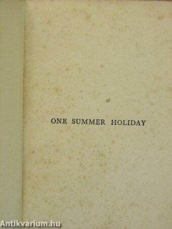 One Summer Holiday