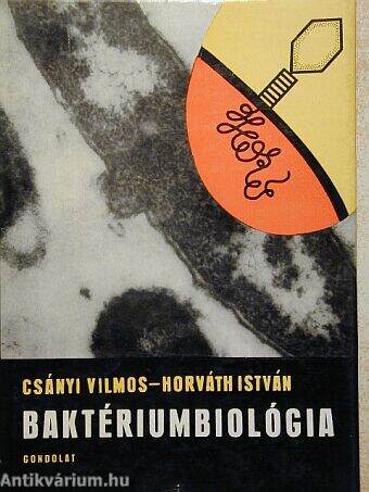 Baktériumbiológia