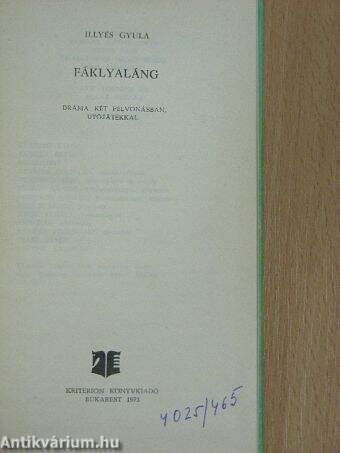 Fáklyaláng