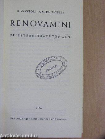 Renovamini