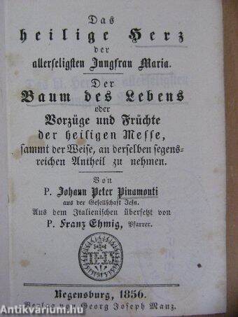 Sämmtliche ascetische Schriften von P. Johann Pinamonti 6. (gótbetűs)