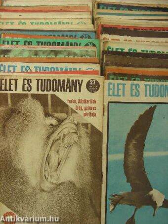 Élet és Tudomány 1966. (nem teljes évfolyam)