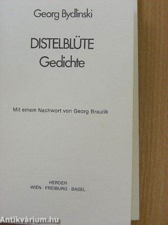 Distelblüte