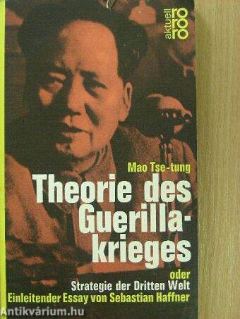 Theorie des Guerillakrieges