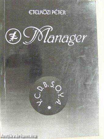 LSI Manager